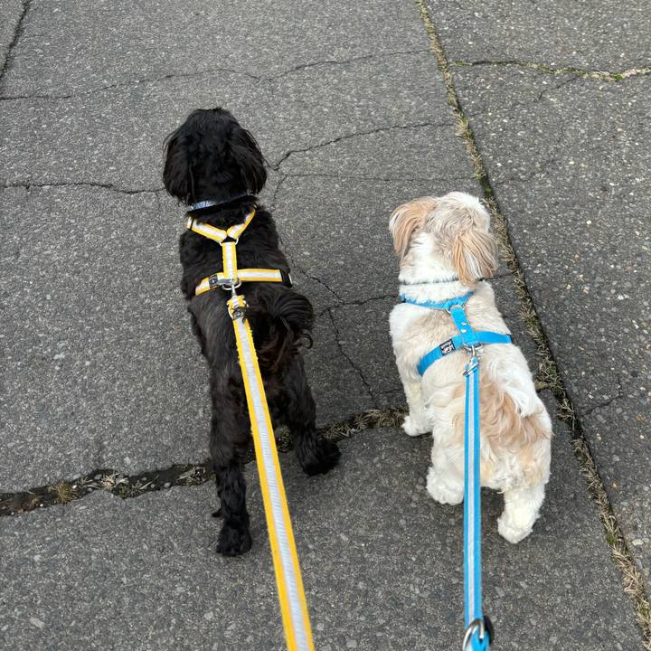 Acecd534 f2b0 43b4 807f af4d855701e3 1711785828236