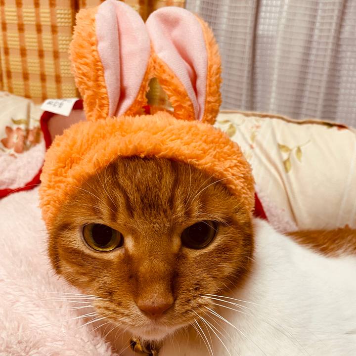 Acecd77b ab04 4e3f 8600 0e94770d7ab3 1604141843724