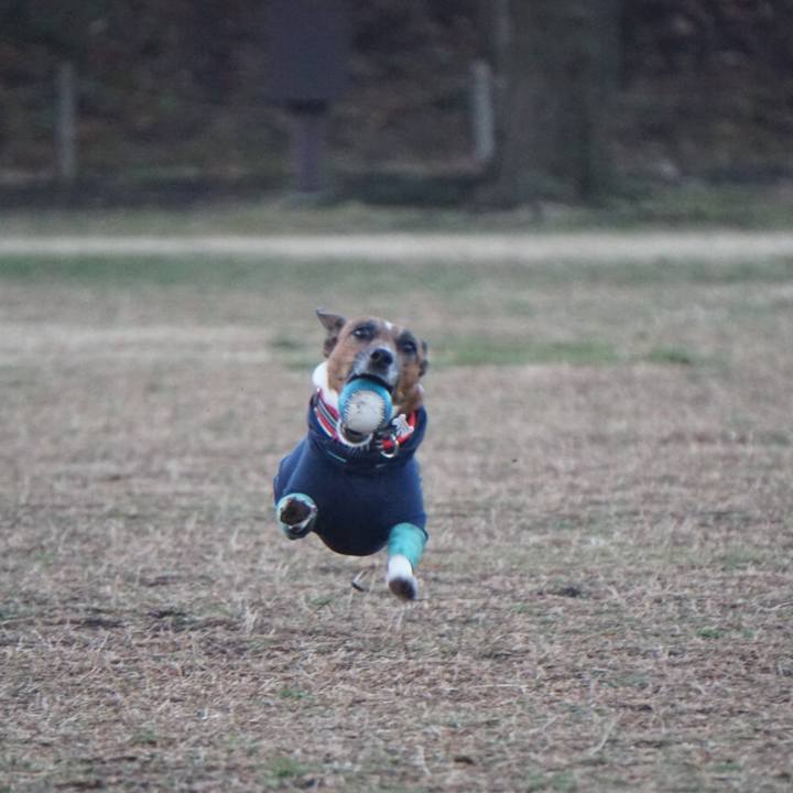 Aced21bd b02f 4177 922d a9d1a5f34684 1549407120779