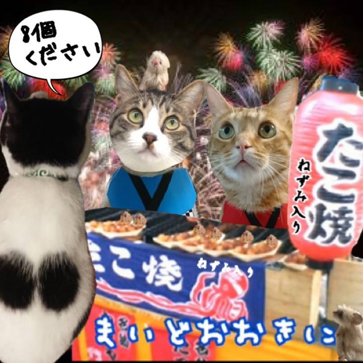 Aced2d1a 8d99 49ff b4d2 6b7012a77b30 1565014887901