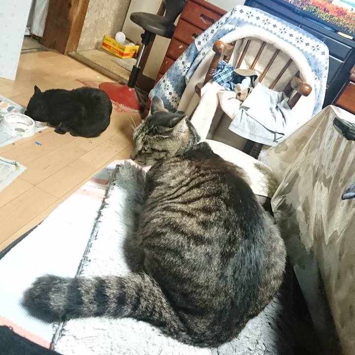 Aced2f10 d187 49ba b84e 81ee93de7be8 1653652277768