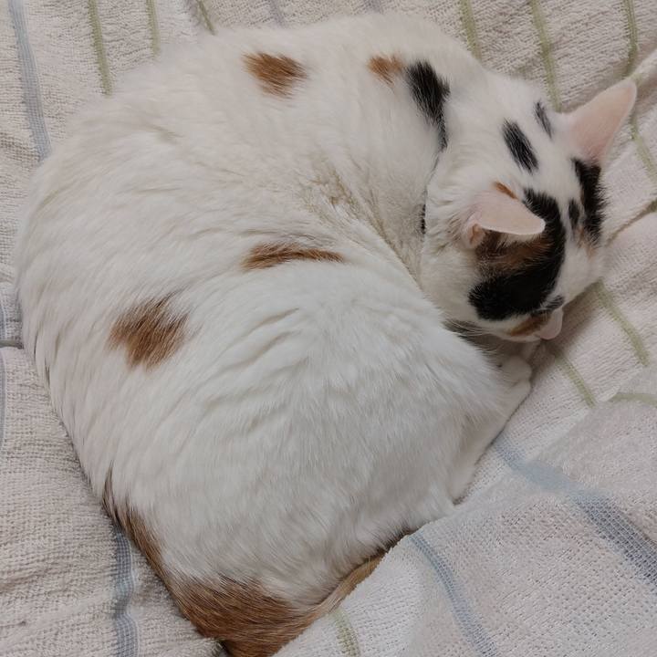 Aced316f f0ca 4b99 8e0f 56a6299fdbd8 1603723497264