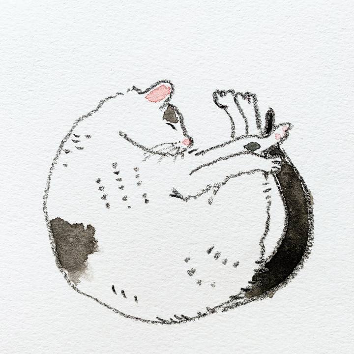 Aced638b d8c9 40a6 81d1 d50e91e30b1f 1588039438037