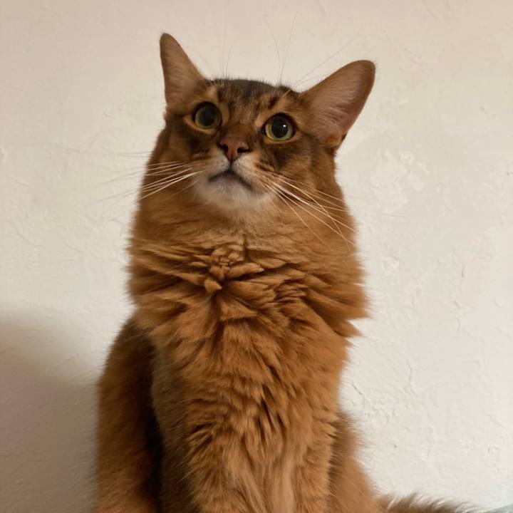 Aced7346 903c 46ce 924b f32be5b84b44 1663455921153