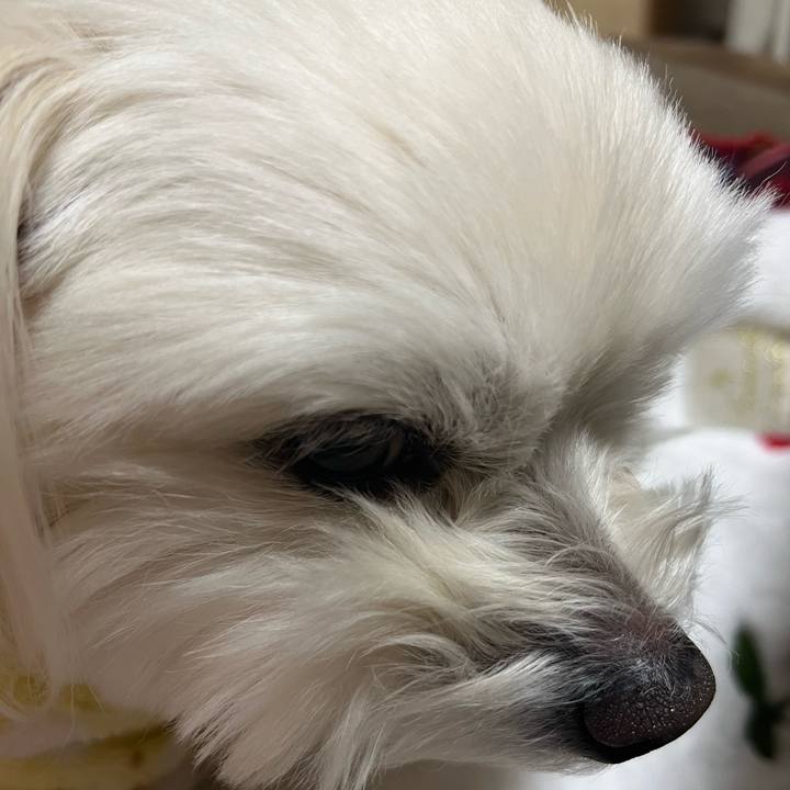 Aced9dad 18a2 47e1 98aa b42abcdb233d 1677591256721