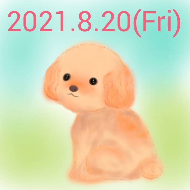 Aceda218 0bab 4009 b6f5 530e6cbf9211 1629456171296
