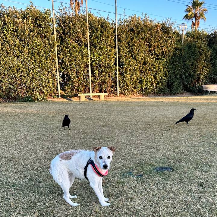 Aceda356 5fb1 47f8 90bc 42e5003498a6 1667650936057