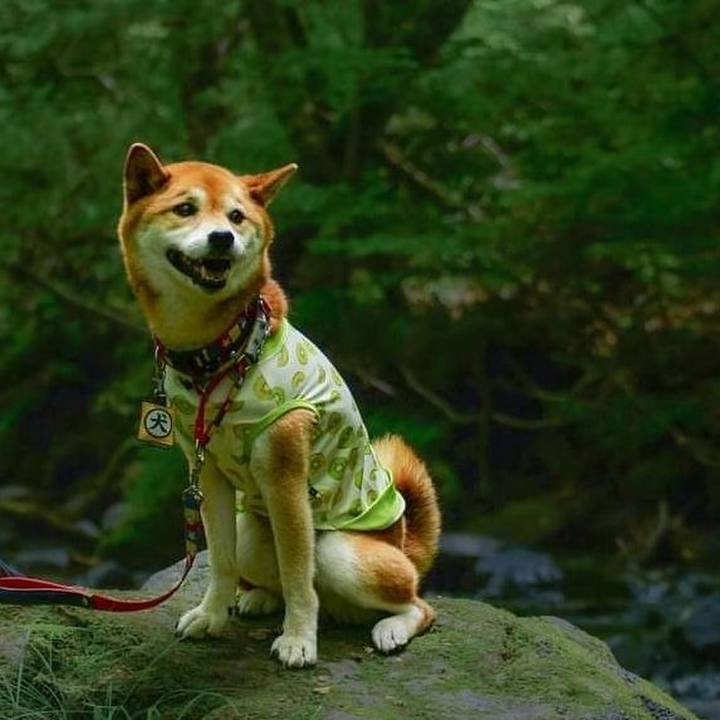 Acedd5eb d974 4807 96da 50b9077963c7 1689315055004