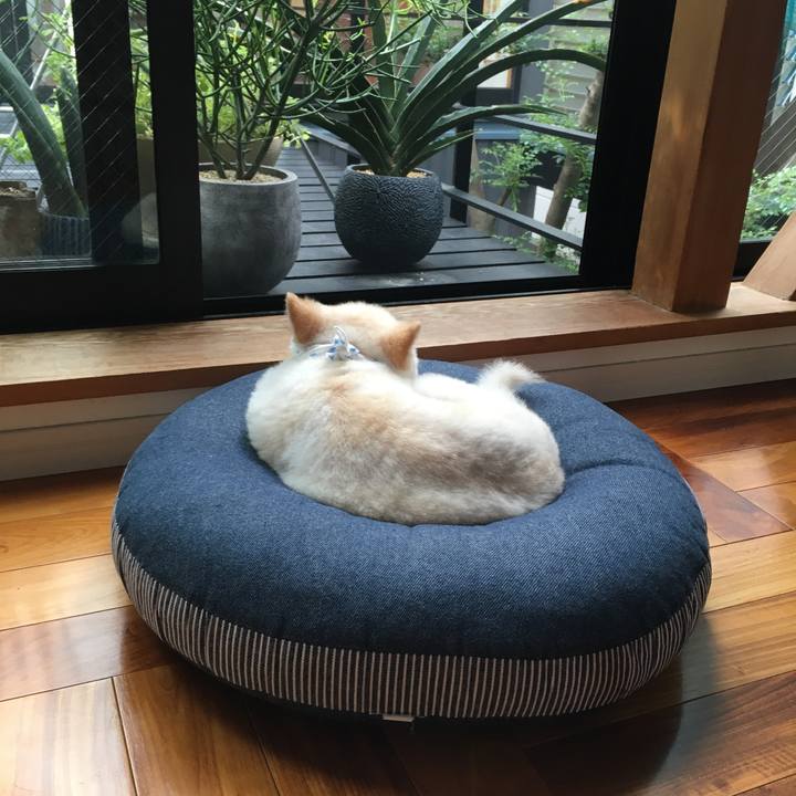 Acedfc0b 2533 495a b50d 3843243b8602 1600061279583