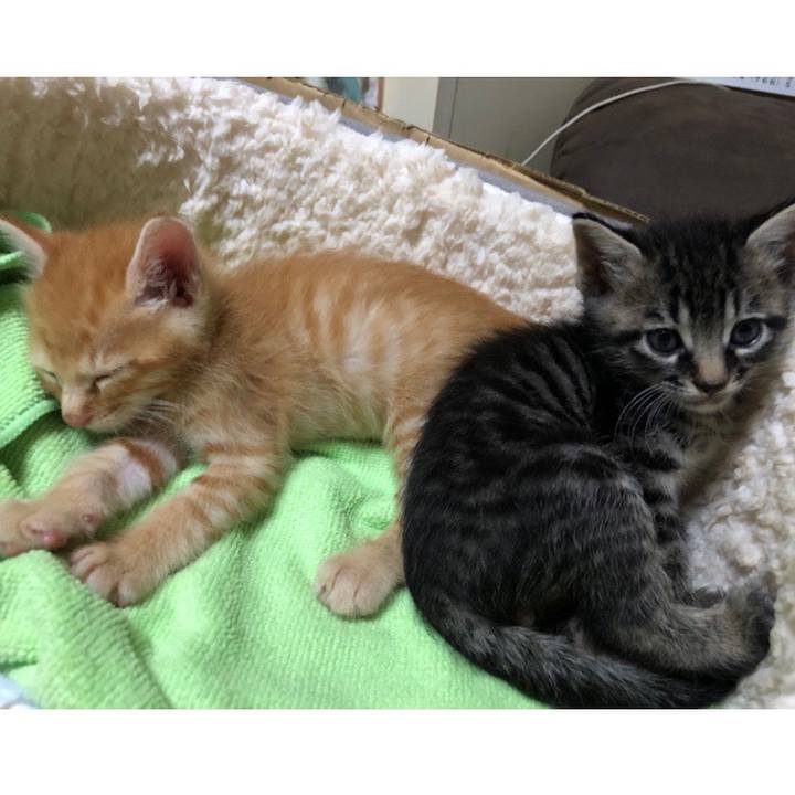 Acedfdcf b465 4b60 9bff 956fddf0a5af 1570721945281