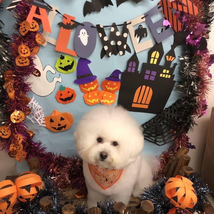 Acee1128 82a6 4c0f bc46 550492ea28e1 1572407224285