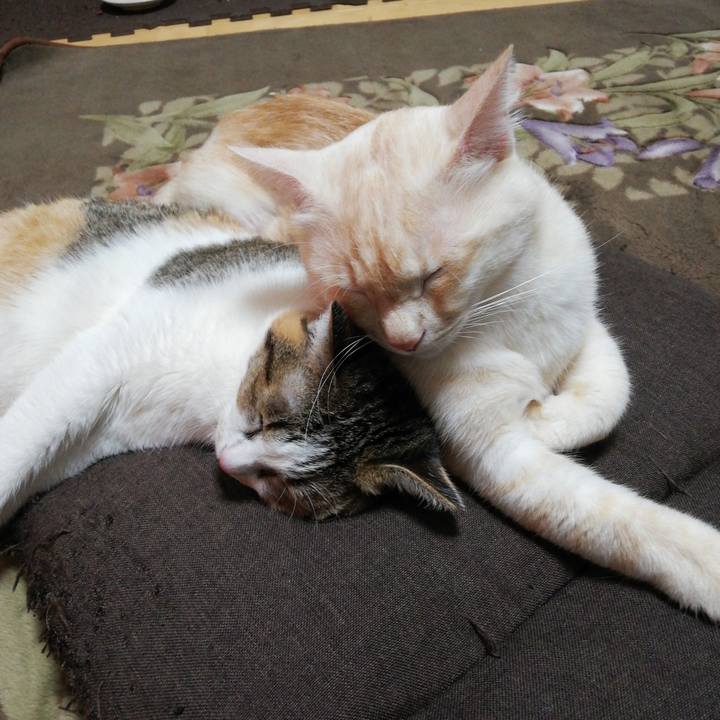 Acee5576 640d 41a1 bb1f 35590f9fae24 1607514421591