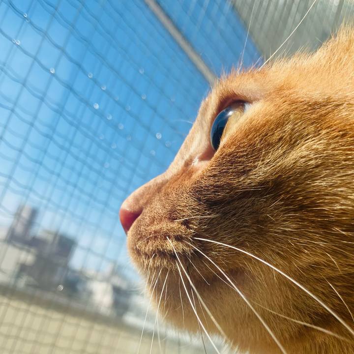 Acee7236 5466 4da4 8d76 e97e5aa971cd 1614166313231