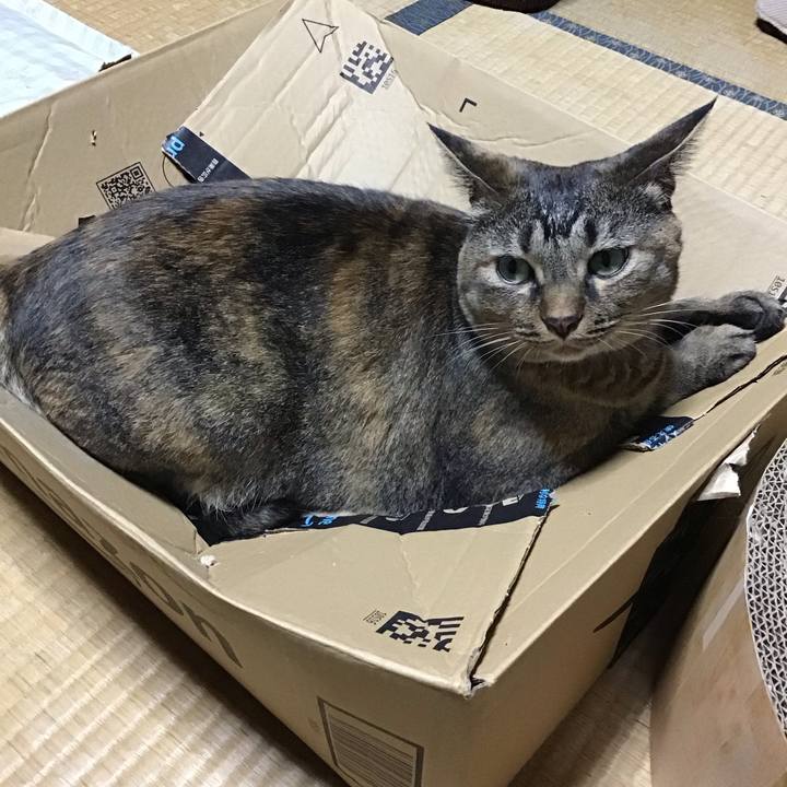 Acee8944 1618 4b16 88d4 cc0d97e47146 1724416117391