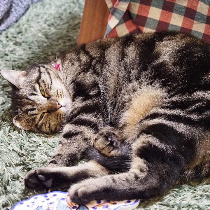 Acee9769 e877 497a 89b8 936b55bba481 1615817684166