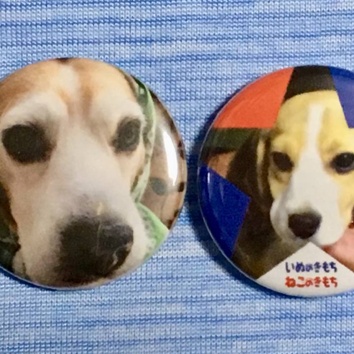 Aceea26e b9ae 4ffa a35d 7256a78c2e3a 1537538099044