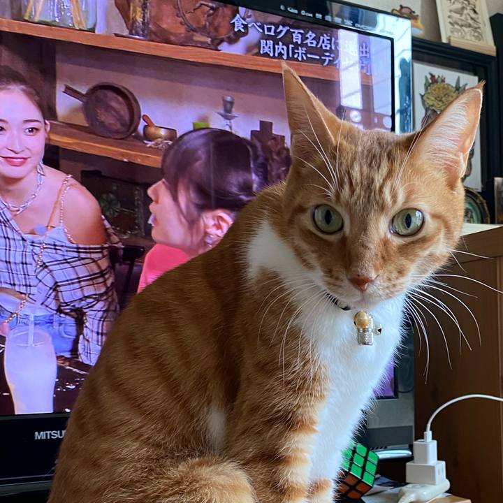 Aceece18 f541 4d50 9a59 dc14955ba276 1716033656492