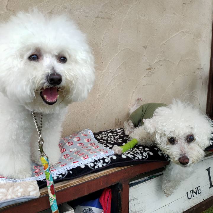 Aceed646 27d7 4368 b221 8f33f44c1da7 1763067534528