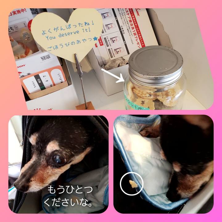 Aceede1d b82d 48c6 a708 50fcb3058bea 1689605814014