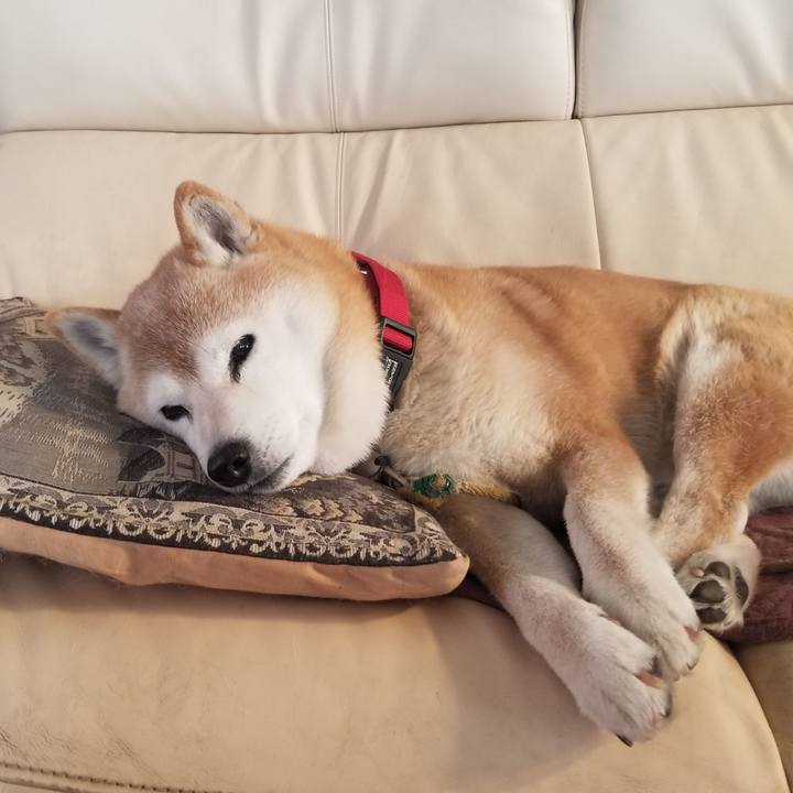 Aceee3a5 0fa4 423a a48c 8bd93c023e02 1709335649639