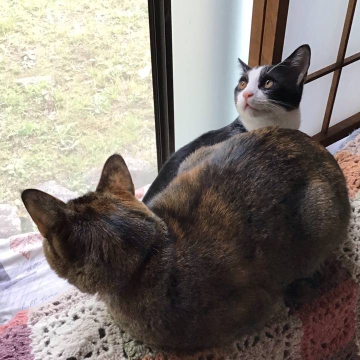 Aceeec2e 8a37 4742 a21b a8bdbff10520 1634807669001