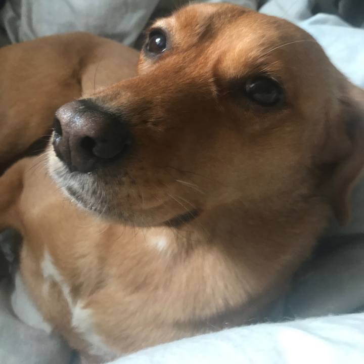 Acef19fc b855 4ece 819f 60b5d0d9577b 1556711591373