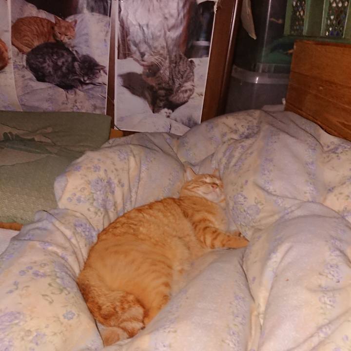 Acef357f 3a76 47f1 bb50 65fc96d62d8a 1659817538071