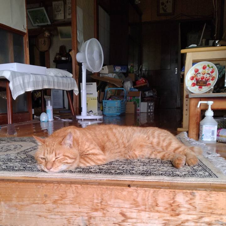 Acef3dc9 1fdb 4994 b784 d6ff084ceb12 1722221648902