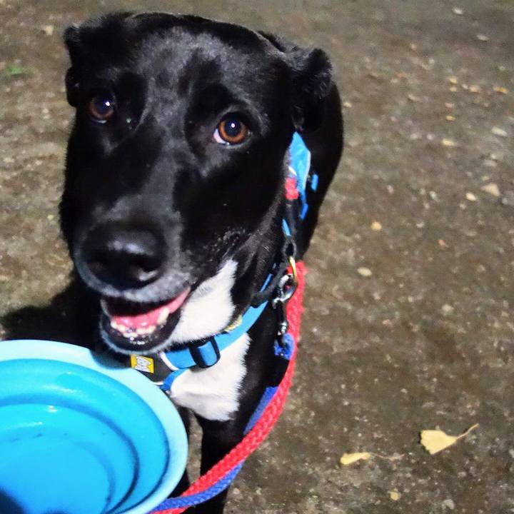 Acef69c4 c53c 4fd0 be9a c5631caf1e6f 1633259433932