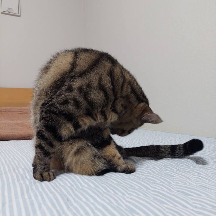 Acefbf11 c385 442f 8e13 59ac1c7cf7bd 1627939373252