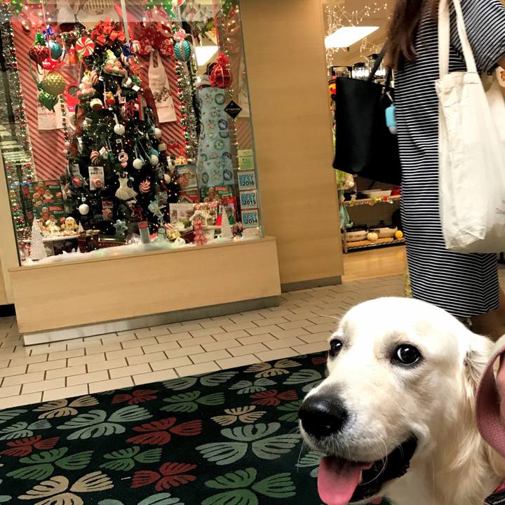 Acefc0e9 edc4 4858 afb4 1e01a194d24a 1513847507773