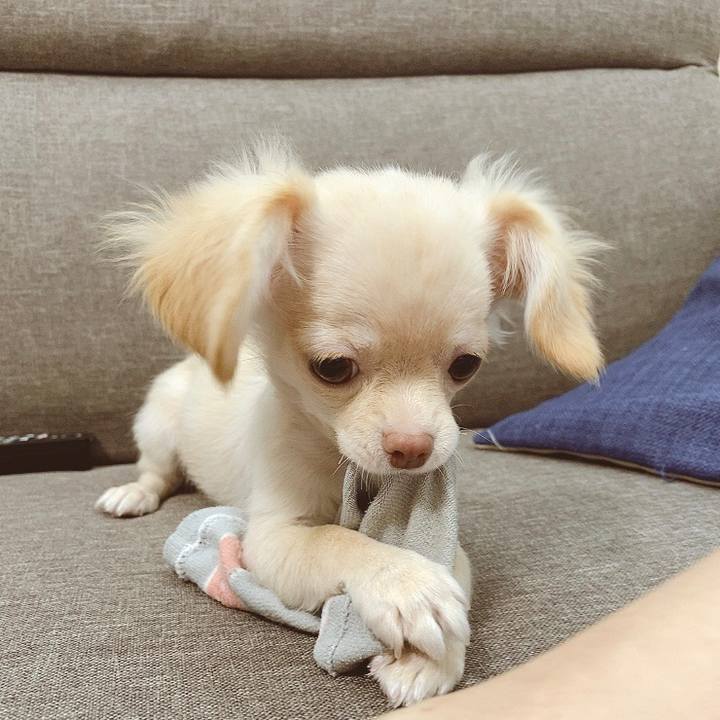 Acefc2c4 c99f 4b7e 8c68 dca6e9358349 1592003441529