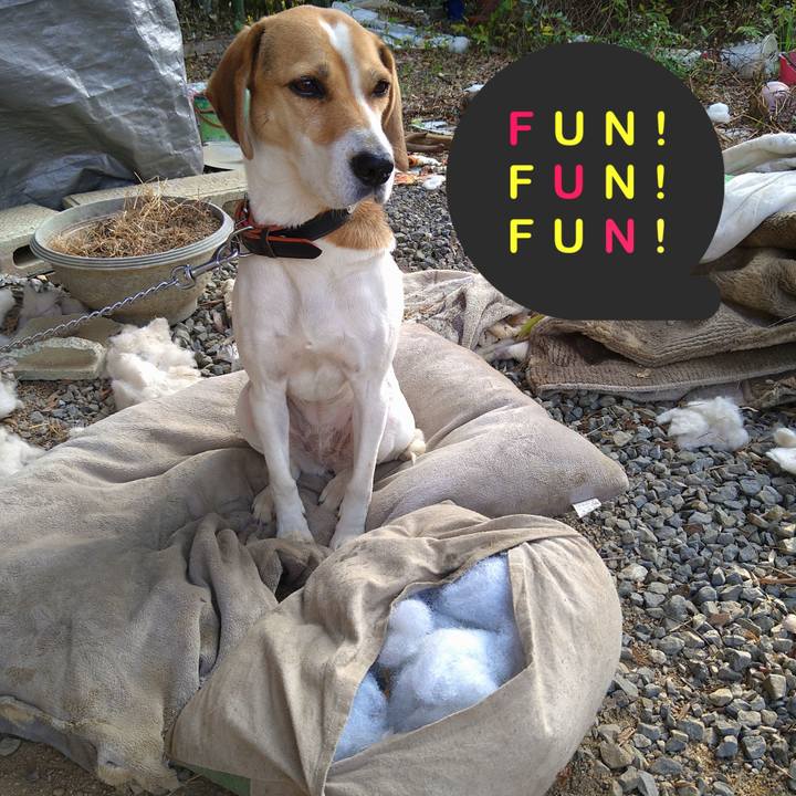 Acefd42b 4ea1 41db 8f8b 36e7340311dd 1637042464637