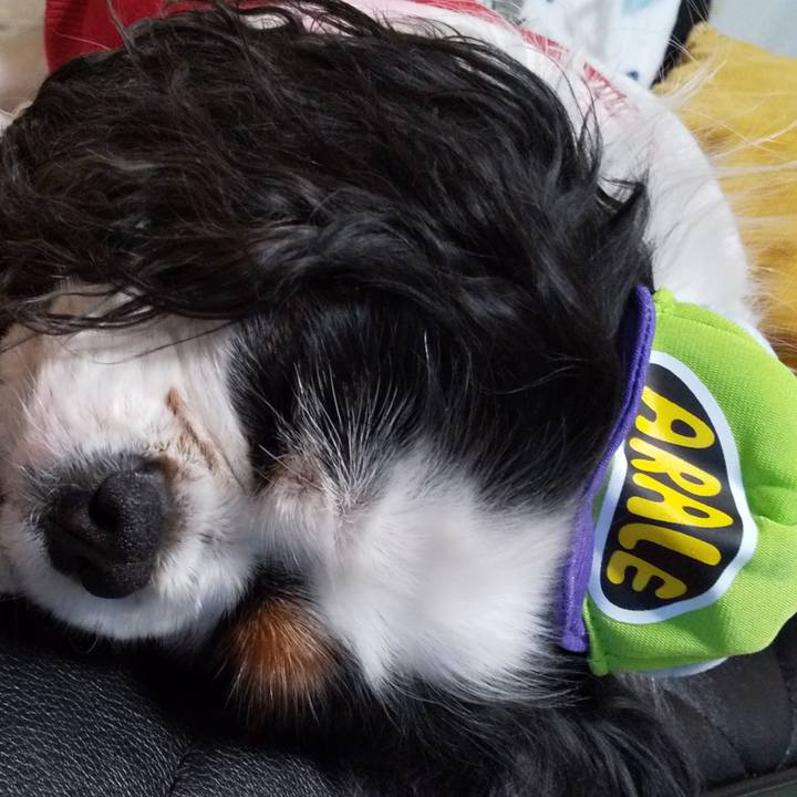 Aceff721 5860 4c34 be67 af9929fdceb0 1578753777031