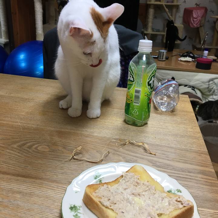 Acf00bea be97 4d7c abcd 0f6691c3cc67 1519199750352