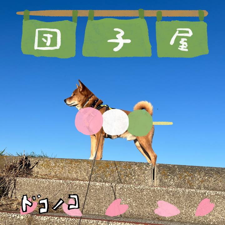 Acf020b0 1dc6 481a ab03 574d45628262 1712393624769