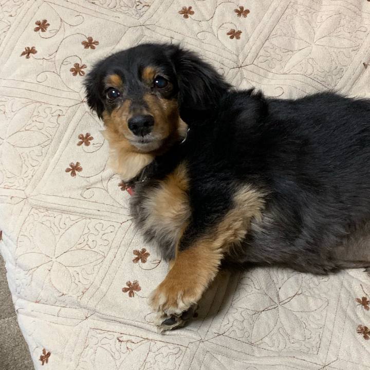 Acf025d4 d743 495e 899c 935372f485e9 1546729112753