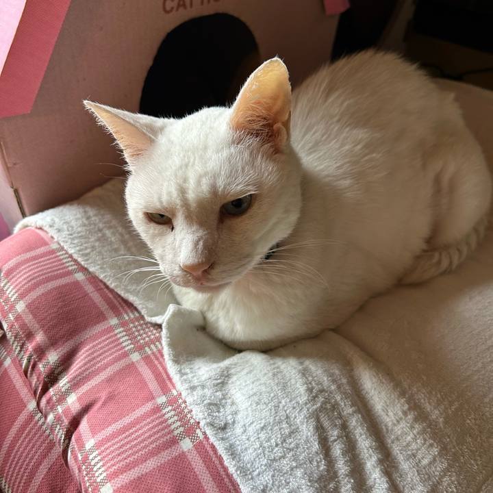 Acf03ae4 9cba 43ec 868a 91757ec8f116 1686524599433