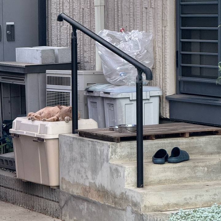 Acf03ec3 c94d 4b1e 98f8 7500b5fbd2ed 1757990521235