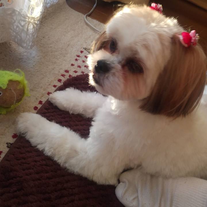 Acf0483b 2fb1 4dea a392 bed112a36fcb 1575357158716