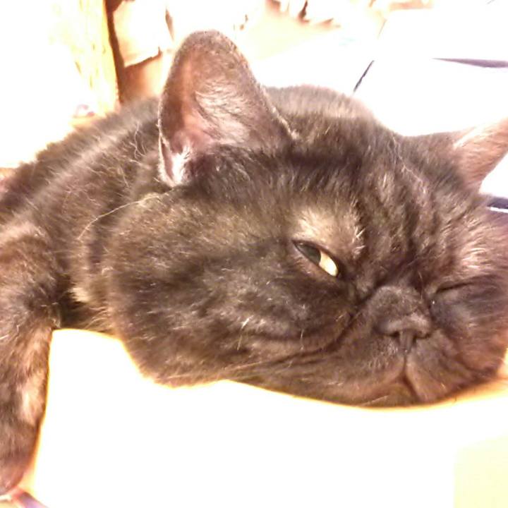 Acf05b28 413d 4395 ae81 0cb8ef1d3d2d 1578203648726