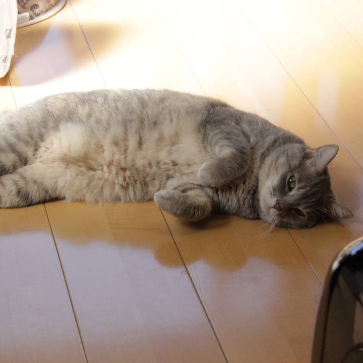 Acf07535 ca33 420a b4ad 3eeec3001095 1573546825951