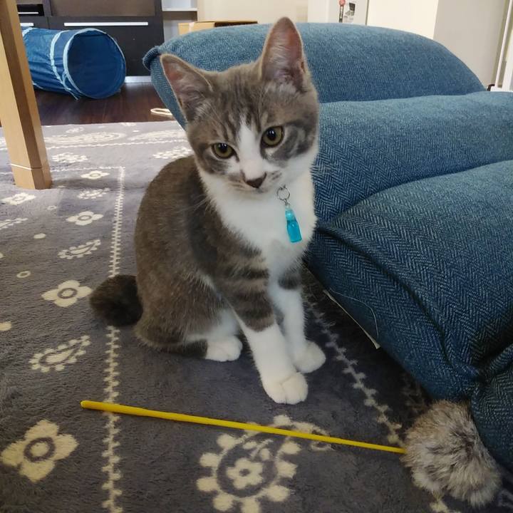 Acf10d67 6479 43a2 ac86 be733a1b9c2e 1565254466070