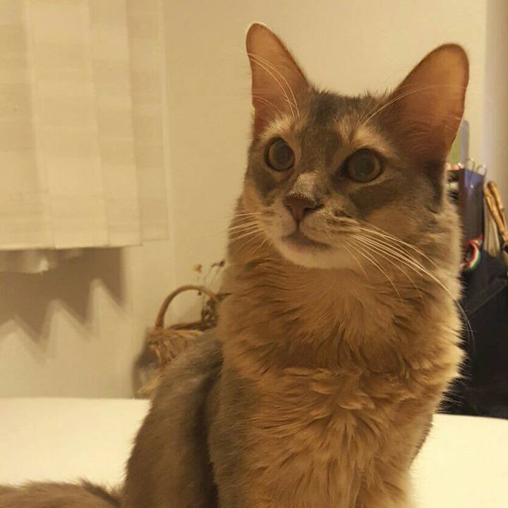 Acf13238 c5d2 4649 8373 085fa509c54c 1562461599285