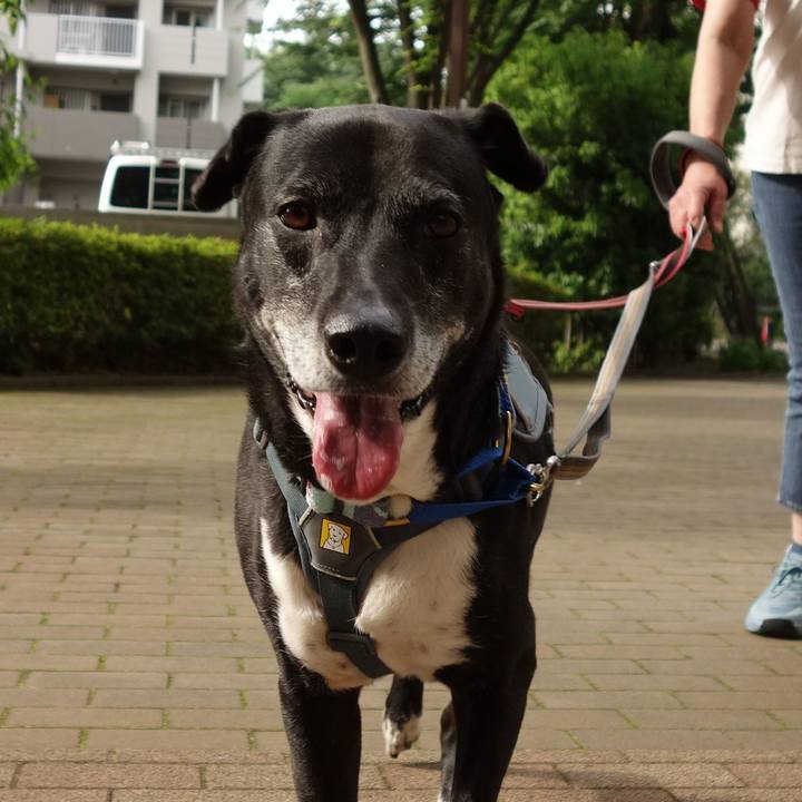 Acf14c81 55c7 4bcb 88b7 60d079f42868 1747787033635