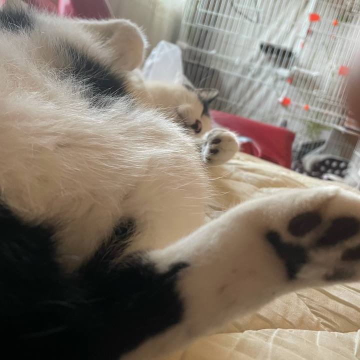 Acf16290 b010 4383 b080 a03232b857e2 1630272367783