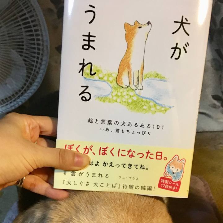 Acf17fbb 147a 4ee3 8a35 9e62aacda811 1537105916112