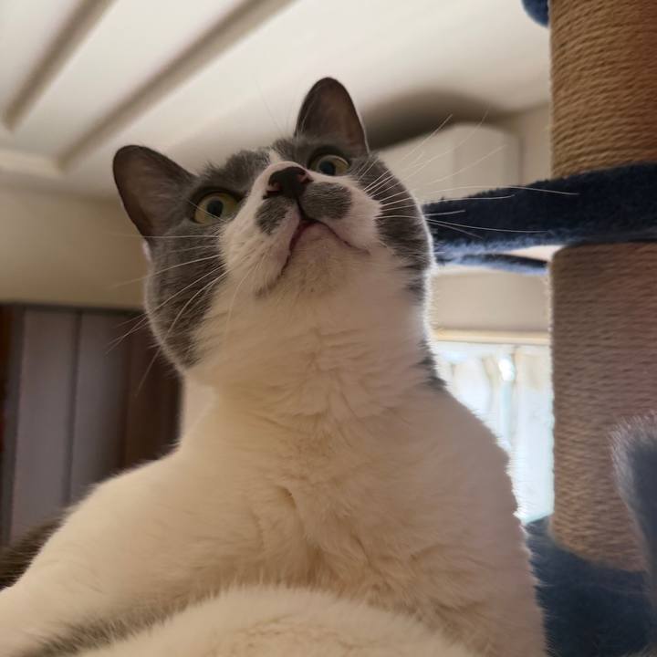 Acf1a675 4c53 4b40 8646 9a309115c6f9 1774659816891