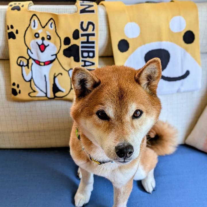 Acf1c684 cb99 48e6 a257 f2cd2d871f33 1744193000874