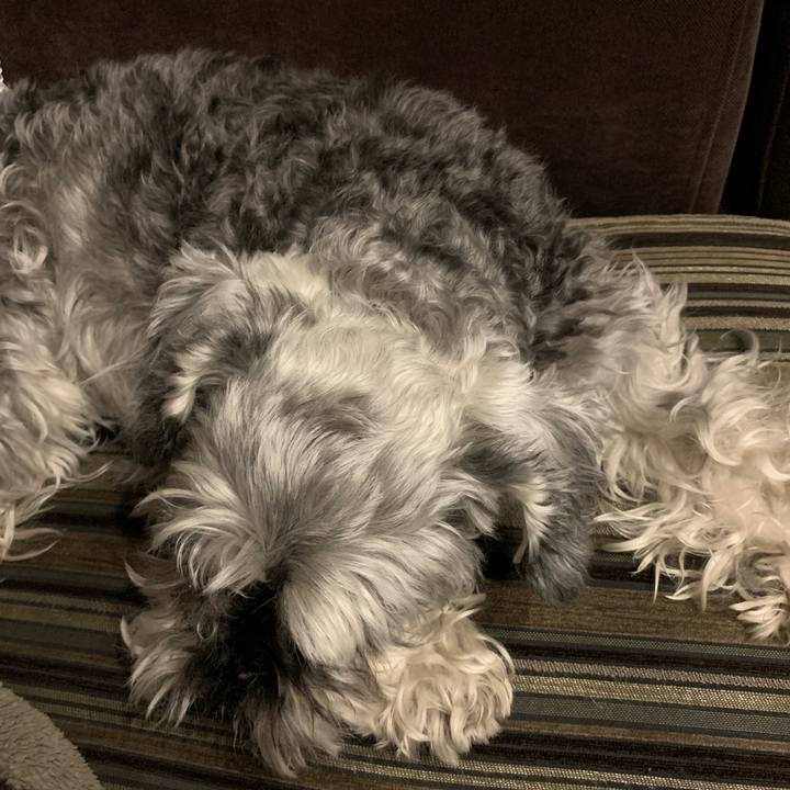 Acf1dbfb 1e59 4289 b389 a59e469deee6 1652539405114